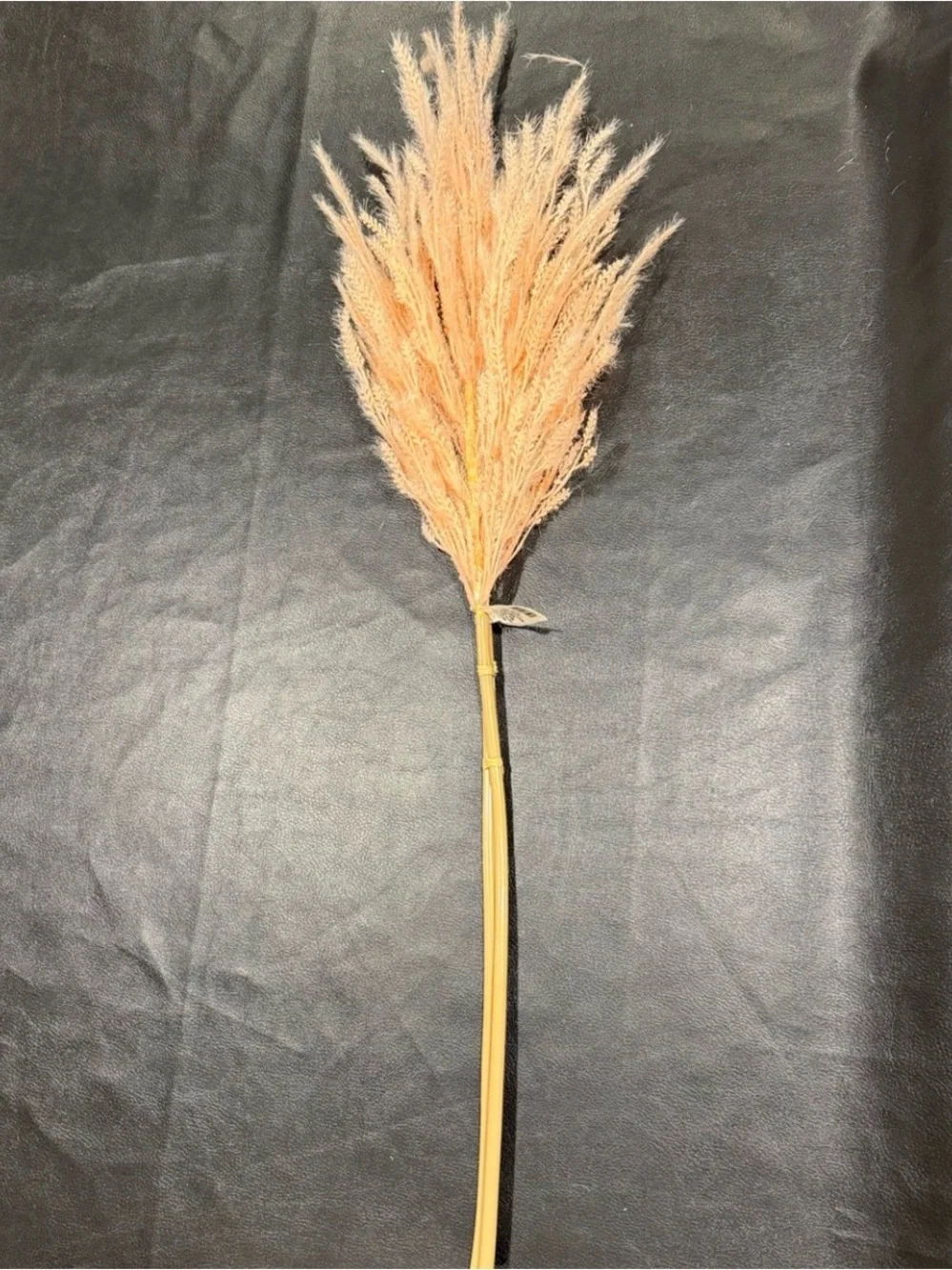 Threshold Dried Wheat Stem Bundle - Soft Peach Beige (Qty 3) 6 Stems Total! NWT